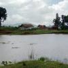 During Rain
